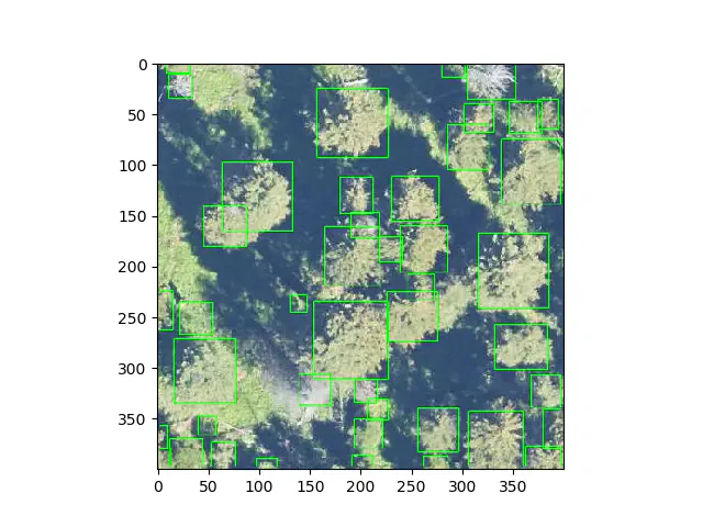 Picture of a forest from above with green boxes outlining tree crowns